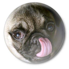 Значок с принтом Мопс в Белгороде,  металл | круглая форма, металлическая застежка в виде булавки | Тематика изображения на принте: бульдог | мопс | мопсик | мопсы | пес | песик | песики | собака | собаки | собачка