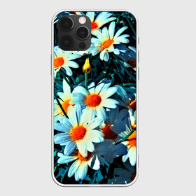 Чехол для iPhone 12 Pro с принтом Полевые ромашки в Белгороде, силикон | область печати: задняя сторона чехла, без боковых панелей | flower | лето | полевой цветок | цветочки | цветы