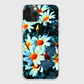 Чехол для iPhone 12 Pro Max с принтом Полевые ромашки в Белгороде, Силикон |  | flower | лето | полевой цветок | цветочки | цветы