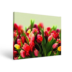 Холст прямоугольный с принтом Букет тюльпанов в Белгороде, 100% ПВХ |  | Тематика изображения на принте: flower | весна | цветочки | цветы