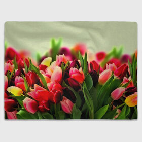 Плед 3D с принтом Букет тюльпанов в Белгороде, 100% полиэстер | закругленные углы, все края обработаны. Ткань не мнется и не растягивается | flower | весна | цветочки | цветы