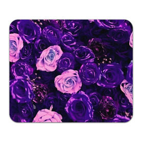 Коврик прямоугольный с принтом Фиолетовые розы в Белгороде, натуральный каучук | размер 230 х 185 мм; запечатка лицевой стороны | flower | прикцветочки | розы | цветы