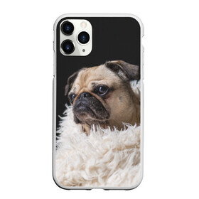 Чехол для iPhone 11 Pro матовый с принтом Мопс в Белгороде, Силикон |  | бульдог | мопс | мопсик | мопсы | пес | песик | песики | собака | собаки | собачка