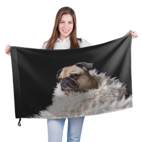 Флаг 3D с принтом Мопс в Белгороде, 100% полиэстер | плотность ткани — 95 г/м2, размер — 67 х 109 см. Принт наносится с одной стороны | бульдог | мопс | мопсик | мопсы | пес | песик | песики | собака | собаки | собачка