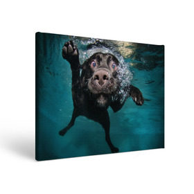 Холст прямоугольный с принтом Пес дайвер в Белгороде, 100% ПВХ |  | вода | гребет | дайвер | животное | купается | лапы | нос | пес | плавец | плывет | под водой | прикольный | пузыри | смешной | собака | щенок