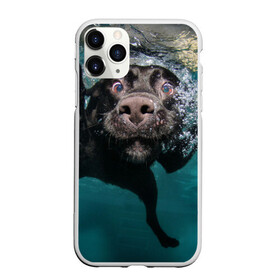 Чехол для iPhone 11 Pro Max матовый с принтом Пес дайвер в Белгороде, Силикон |  | вода | гребет | дайвер | животное | купается | лапы | нос | пес | плавец | плывет | под водой | прикольный | пузыри | смешной | собака | щенок