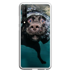 Чехол для Honor P30 с принтом Пес дайвер в Белгороде, Силикон | Область печати: задняя сторона чехла, без боковых панелей | вода | гребет | дайвер | животное | купается | лапы | нос | пес | плавец | плывет | под водой | прикольный | пузыри | смешной | собака | щенок