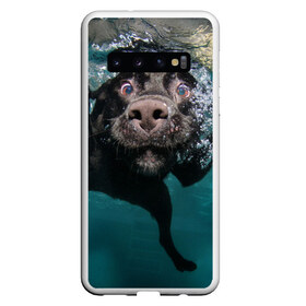 Чехол для Samsung Galaxy S10 с принтом Пес дайвер в Белгороде, Силикон | Область печати: задняя сторона чехла, без боковых панелей | вода | гребет | дайвер | животное | купается | лапы | нос | пес | плавец | плывет | под водой | прикольный | пузыри | смешной | собака | щенок
