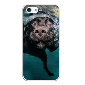 Чехол для iPhone 5/5S матовый с принтом Пес дайвер в Белгороде, Силикон | Область печати: задняя сторона чехла, без боковых панелей | вода | гребет | дайвер | животное | купается | лапы | нос | пес | плавец | плывет | под водой | прикольный | пузыри | смешной | собака | щенок