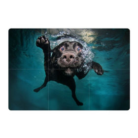 Магнитный плакат 3Х2 с принтом Пес дайвер в Белгороде, Полимерный материал с магнитным слоем | 6 деталей размером 9*9 см | вода | гребет | дайвер | животное | купается | лапы | нос | пес | плавец | плывет | под водой | прикольный | пузыри | смешной | собака | щенок