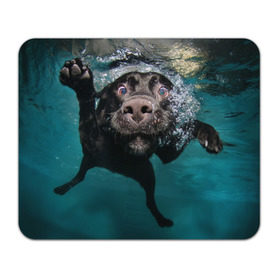 Коврик прямоугольный с принтом Пес дайвер в Белгороде, натуральный каучук | размер 230 х 185 мм; запечатка лицевой стороны | вода | гребет | дайвер | животное | купается | лапы | нос | пес | плавец | плывет | под водой | прикольный | пузыри | смешной | собака | щенок