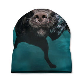 Шапка 3D с принтом Пес дайвер в Белгороде, 100% полиэстер | универсальный размер, печать по всей поверхности изделия | вода | гребет | дайвер | животное | купается | лапы | нос | пес | плавец | плывет | под водой | прикольный | пузыри | смешной | собака | щенок