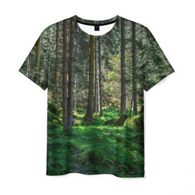 Мужская футболка 3D с принтом Темный лес в Белгороде, 100% полиэфир | прямой крой, круглый вырез горловины, длина до линии бедер | Тематика изображения на принте: бор | деревья | ель | ельник | заповедник | камни | красивый | лес | лето | мох | мрачный | прекрасный | природа | флора | чудесный