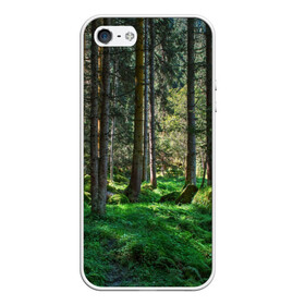 Чехол для iPhone 5/5S матовый с принтом Темный лес в Белгороде, Силикон | Область печати: задняя сторона чехла, без боковых панелей | бор | деревья | ель | ельник | заповедник | камни | красивый | лес | лето | мох | мрачный | прекрасный | природа | флора | чудесный