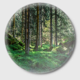 Значок с принтом Темный лес в Белгороде,  металл | круглая форма, металлическая застежка в виде булавки | Тематика изображения на принте: бор | деревья | ель | ельник | заповедник | камни | красивый | лес | лето | мох | мрачный | прекрасный | природа | флора | чудесный