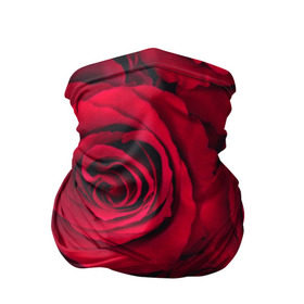 Бандана-труба 3D с принтом Красные розы в Белгороде, 100% полиэстер, ткань с особыми свойствами — Activecool | плотность 150‒180 г/м2; хорошо тянется, но сохраняет форму | 8 марта | букет | весна | дары флоры | женщине | красные | лепестки | лето | любовь | отношения | подарок | розы | романтика | флора | цветок | цветы
