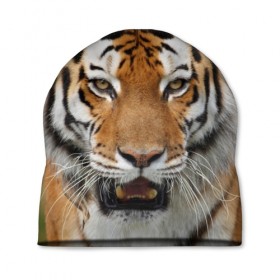 Шапка 3D с принтом Тигр в Белгороде, 100% полиэстер | универсальный размер, печать по всей поверхности изделия | дикая кошка | клыки | кошка | пасть | сафари | тигр | хищник