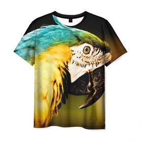 Мужская футболка 3D с принтом Попугай в Белгороде, 100% полиэфир | прямой крой, круглый вырез горловины, длина до линии бедер | двое | классный | клюв | красивый | крылья | попугай | попугайчик | птица | птичка | радужный