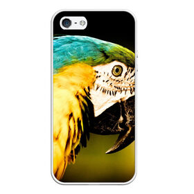 Чехол для iPhone 5/5S матовый с принтом Попугай в Белгороде, Силикон | Область печати: задняя сторона чехла, без боковых панелей | двое | классный | клюв | красивый | крылья | попугай | попугайчик | птица | птичка | радужный