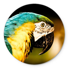 Коврик круглый с принтом Попугай в Белгороде, резина и полиэстер | круглая форма, изображение наносится на всю лицевую часть | двое | классный | клюв | красивый | крылья | попугай | попугайчик | птица | птичка | радужный