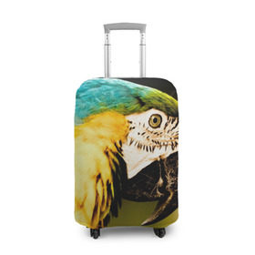Чехол для чемодана 3D с принтом Попугай в Белгороде, 86% полиэфир, 14% спандекс | двустороннее нанесение принта, прорези для ручек и колес | двое | классный | клюв | красивый | крылья | попугай | попугайчик | птица | птичка | радужный