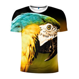 Мужская футболка 3D спортивная с принтом Попугай в Белгороде, 100% полиэстер с улучшенными характеристиками | приталенный силуэт, круглая горловина, широкие плечи, сужается к линии бедра | двое | классный | клюв | красивый | крылья | попугай | попугайчик | птица | птичка | радужный