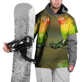 Накидка на куртку 3D с принтом Попугаи в Белгороде, 100% полиэстер |  | Тематика изображения на принте: двое | классный | клюв | красивый | крылья | попугай | попугайчик | птица | птичка | радужный