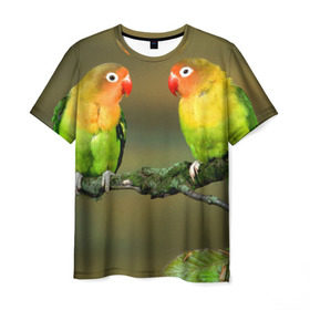 Мужская футболка 3D с принтом Попугаи в Белгороде, 100% полиэфир | прямой крой, круглый вырез горловины, длина до линии бедер | двое | классный | клюв | красивый | крылья | попугай | попугайчик | птица | птичка | радужный