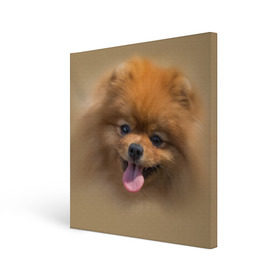 Холст квадратный с принтом Шпиц в Белгороде, 100% ПВХ |  | Тематика изображения на принте: shpic | животные | мордочка | пёс | рыжий | собака | собачка | язык