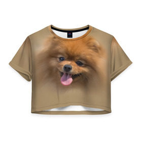 Женская футболка 3D укороченная с принтом Шпиц в Белгороде, 100% полиэстер | круглая горловина, длина футболки до линии талии, рукава с отворотами | Тематика изображения на принте: shpic | животные | мордочка | пёс | рыжий | собака | собачка | язык