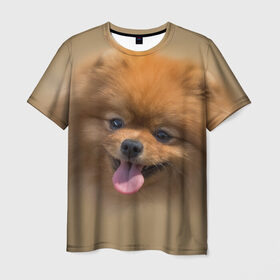 Мужская футболка 3D с принтом Шпиц в Белгороде, 100% полиэфир | прямой крой, круглый вырез горловины, длина до линии бедер | shpic | животные | мордочка | пёс | рыжий | собака | собачка | язык