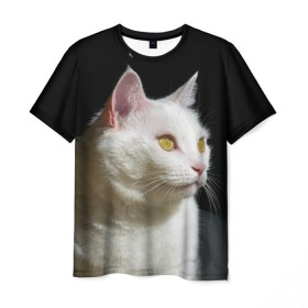 Мужская футболка 3D с принтом Белая и пушистая в Белгороде, 100% полиэфир | прямой крой, круглый вырез горловины, длина до линии бедер | Тематика изображения на принте: белый | взгляд | глаза | киска | кот | котёнок | кошка | пушистый