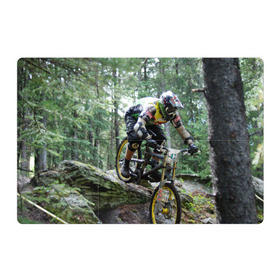 Магнитный плакат 3Х2 с принтом Велоспорт гонка в Белгороде, Полимерный материал с магнитным слоем | 6 деталей размером 9*9 см | велик | велосипед | гонка | горы | деревья | железный конь | колесо | лес | лисапед | природа | ровер | спорт | спортсмен | стальной конь | тандем | трицикл | шлем