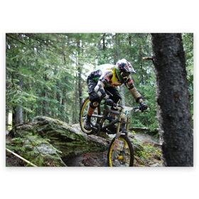 Поздравительная открытка с принтом Велоспорт гонка в Белгороде, 100% бумага | плотность бумаги 280 г/м2, матовая, на обратной стороне линовка и место для марки
 | велик | велосипед | гонка | горы | деревья | железный конь | колесо | лес | лисапед | природа | ровер | спорт | спортсмен | стальной конь | тандем | трицикл | шлем