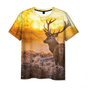 Мужская футболка 3D с принтом Олень в Белгороде, 100% полиэфир | прямой крой, круглый вырез горловины, длина до линии бедер | бор | дубрава | ельник | животное | закат | косуля | лес | лось | млекопитающее | олень | природа | расвет | рогач | рока | тайга | чащоба