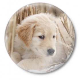 Значок с принтом Щеночек в Белгороде,  металл | круглая форма, металлическая застежка в виде булавки | dog | puppy | собака | щенок | щеночек