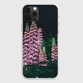 Чехол для iPhone 12 Pro с принтом Многолетник в Белгороде, силикон | область печати: задняя сторона чехла, без боковых панелей | макро | многолетник | цветы