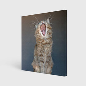 Холст квадратный с принтом Мартовский кот в Белгороде, 100% ПВХ |  | кот | кошка | март | пасть | усы