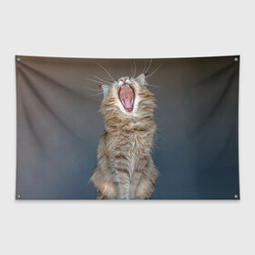 Флаг-баннер с принтом Мартовский кот в Белгороде, 100% полиэстер | размер 67 х 109 см, плотность ткани — 95 г/м2; по краям флага есть четыре люверса для крепления | кот | кошка | март | пасть | усы