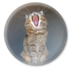 Значок с принтом Мартовский кот в Белгороде,  металл | круглая форма, металлическая застежка в виде булавки | Тематика изображения на принте: кот | кошка | март | пасть | усы