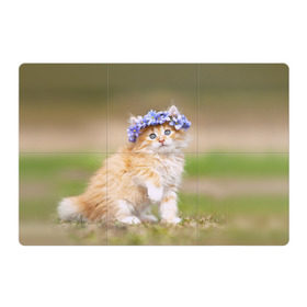Магнитный плакат 3Х2 с принтом Веночек в Белгороде, Полимерный материал с магнитным слоем | 6 деталей размером 9*9 см | василёк | венок | котёнок | кошка | цветок
