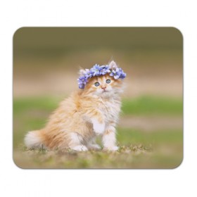Коврик прямоугольный с принтом Веночек в Белгороде, натуральный каучук | размер 230 х 185 мм; запечатка лицевой стороны | василёк | венок | котёнок | кошка | цветок