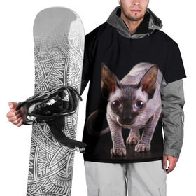 Накидка на куртку 3D с принтом сфинкс в Белгороде, 100% полиэстер |  | Тематика изображения на принте: cat | голубые глаза | кот | котик | котэ | кошка | сфинкс | черный
