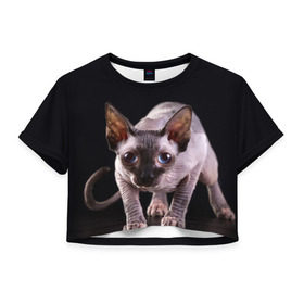 Женская футболка 3D укороченная с принтом сфинкс в Белгороде, 100% полиэстер | круглая горловина, длина футболки до линии талии, рукава с отворотами | cat | голубые глаза | кот | котик | котэ | кошка | сфинкс | черный