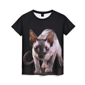 Женская футболка 3D с принтом сфинкс в Белгороде, 100% полиэфир ( синтетическое хлопкоподобное полотно) | прямой крой, круглый вырез горловины, длина до линии бедер | cat | голубые глаза | кот | котик | котэ | кошка | сфинкс | черный