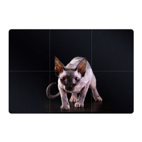 Магнитный плакат 3Х2 с принтом сфинкс в Белгороде, Полимерный материал с магнитным слоем | 6 деталей размером 9*9 см | Тематика изображения на принте: cat | голубые глаза | кот | котик | котэ | кошка | сфинкс | черный