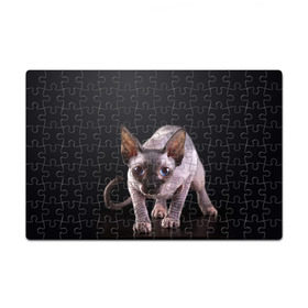 Пазл магнитный 126 элементов с принтом сфинкс в Белгороде, полимерный материал с магнитным слоем | 126 деталей, размер изделия —  180*270 мм | cat | голубые глаза | кот | котик | котэ | кошка | сфинкс | черный