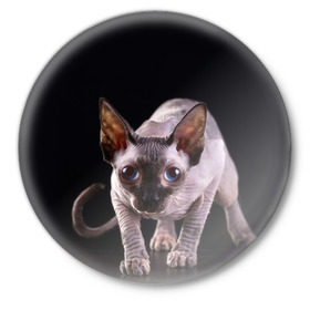 Значок с принтом сфинкс в Белгороде,  металл | круглая форма, металлическая застежка в виде булавки | Тематика изображения на принте: cat | голубые глаза | кот | котик | котэ | кошка | сфинкс | черный