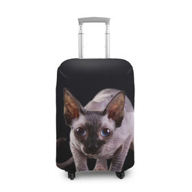 Чехол для чемодана 3D с принтом сфинкс в Белгороде, 86% полиэфир, 14% спандекс | двустороннее нанесение принта, прорези для ручек и колес | cat | голубые глаза | кот | котик | котэ | кошка | сфинкс | черный