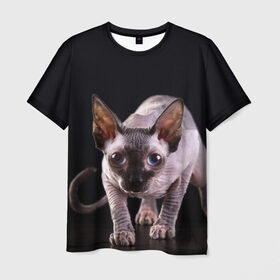 Мужская футболка 3D с принтом сфинкс в Белгороде, 100% полиэфир | прямой крой, круглый вырез горловины, длина до линии бедер | cat | голубые глаза | кот | котик | котэ | кошка | сфинкс | черный